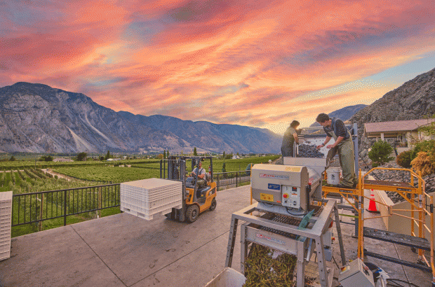 Similkameen Valley - Courcelettes Estate Winery