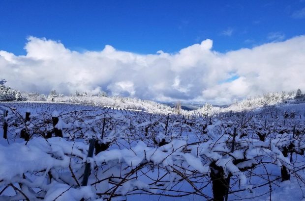 California's El Dorado AVA - Lava Cap