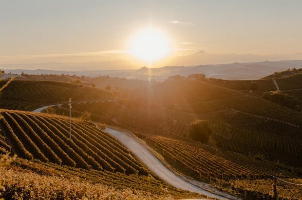 Barbaresco Riserva 2016