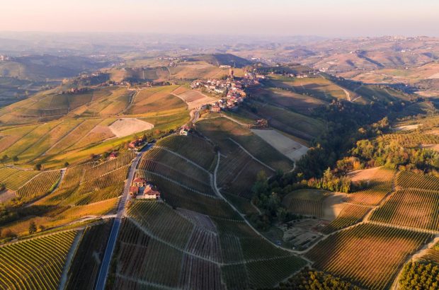 Barolo 2015 Vintage Report