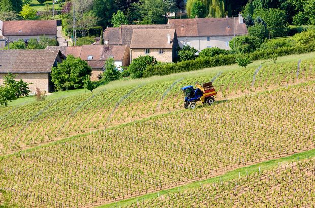 Côte Chalonnaise 2020