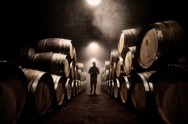 Ceretto-Cellar-Alessandro-credit-marco-varoli