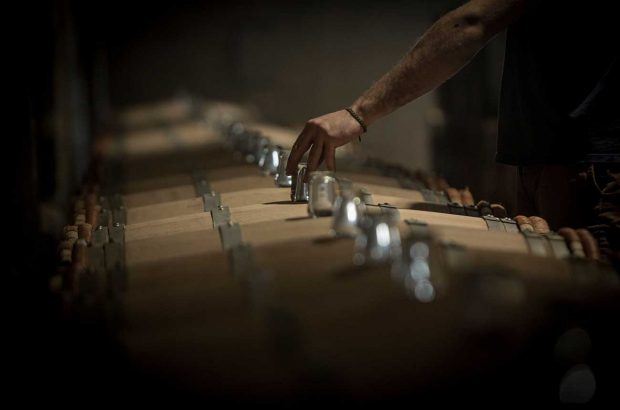 Château Palmer wines