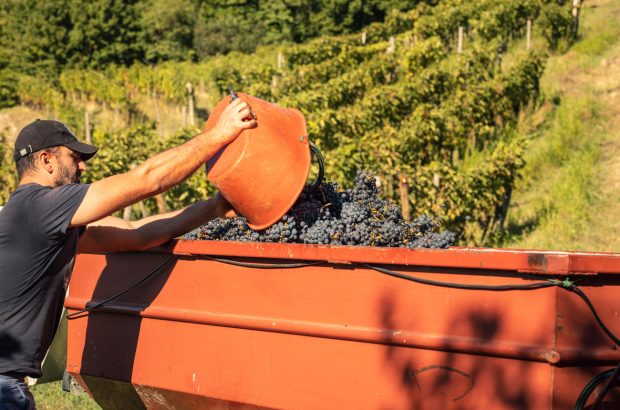 Chianti Classico 2019