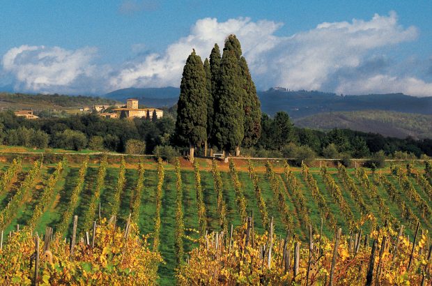 which chianti classico should I buy in 2022