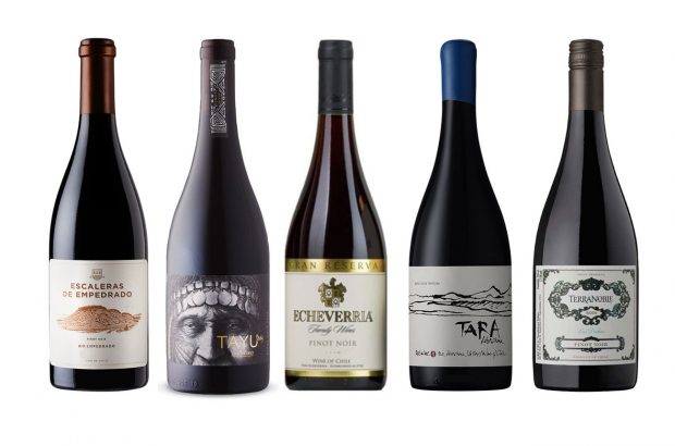 Chile-Pinot-Panel-Bottles