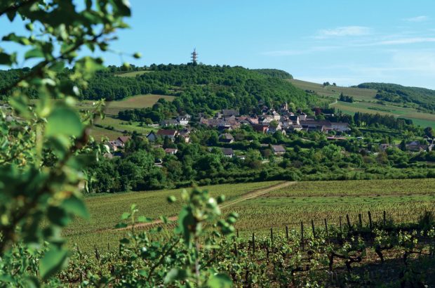 Value Burgundy 2021 en primeur