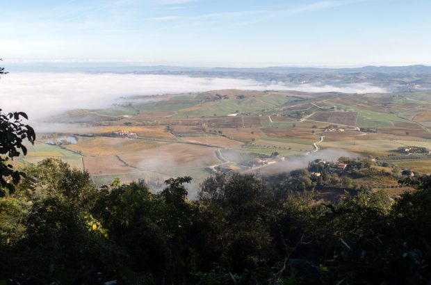 Brunello di Montalcino 2018