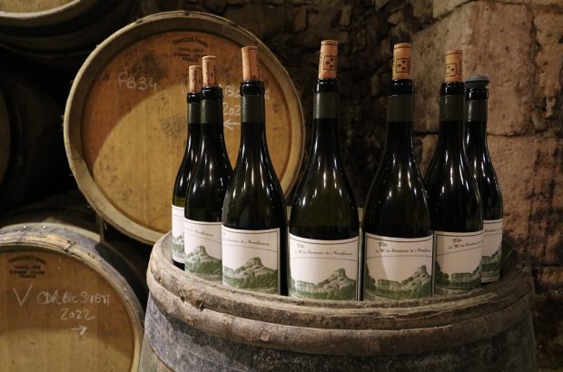 Château de Montfaucon