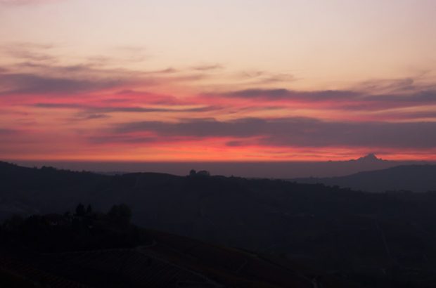 Piedmont new releases