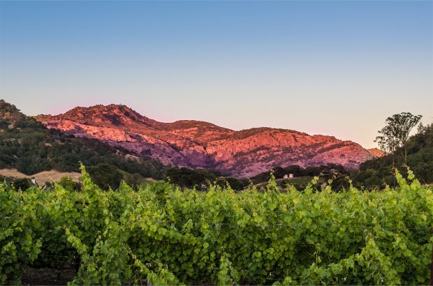 Stags Leap District 2019