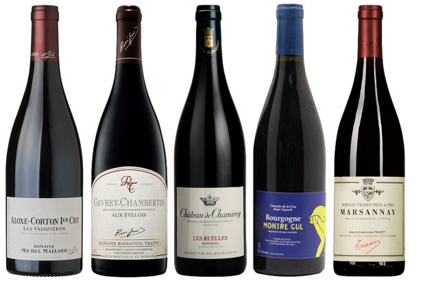value red Burgundy 2020