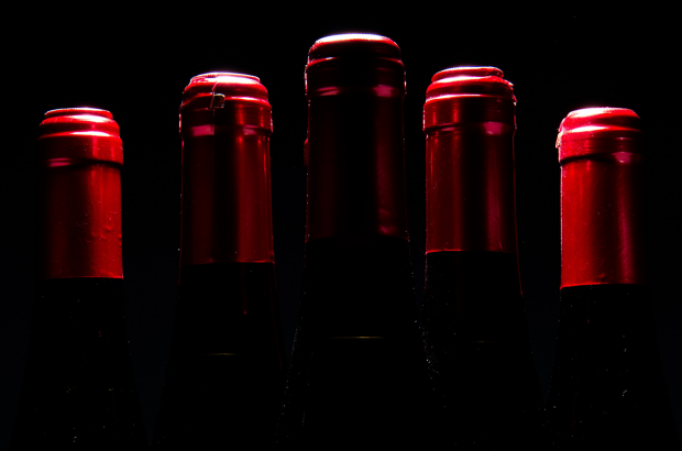 bordeaux wine consultants